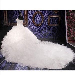 Size 26 beaded organza wedding dress.